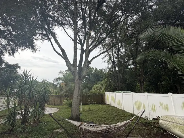Tree removal in Apopka FL by Kirby's Tree Service