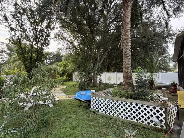 Tree removal in Apopka FL by Kirby's Tree Service
