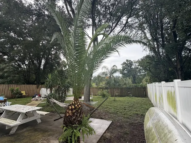 Tree removal in Apopka FL by Kirby's Tree Service