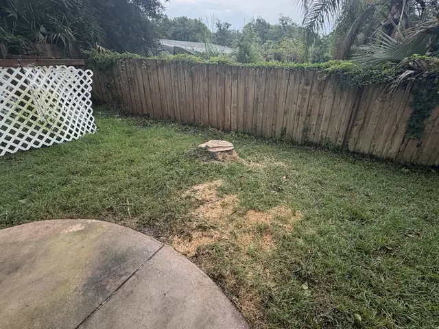 Tree stump grinding in Apopka FL by Kirby's Tree Service
