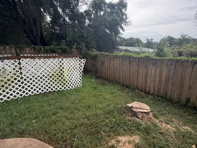 Tree stump grinding in Apopka FL by Kirby's Tree Service
