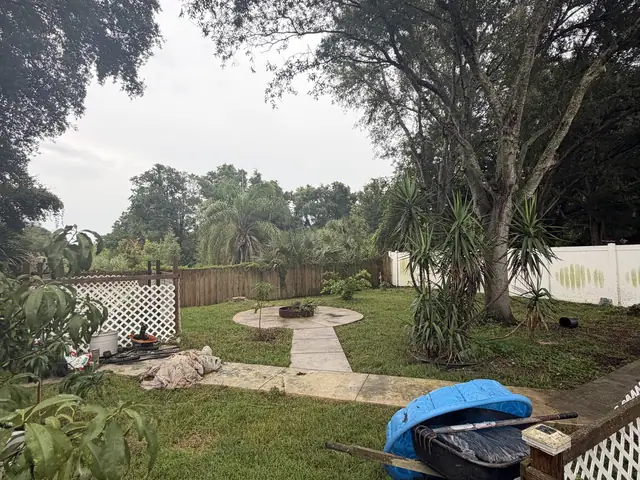 Tree removal in Apopka FL by Kirby's Tree Service