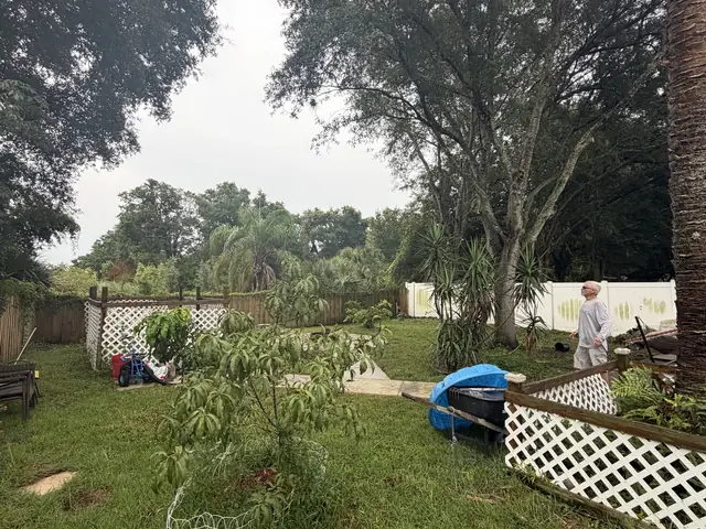 Tree removal in Apopka FL by Kirby's Tree Service