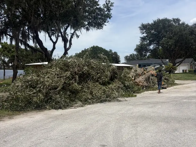 Tree storm cleanup in Maitland FL by Kirby's Tree Service