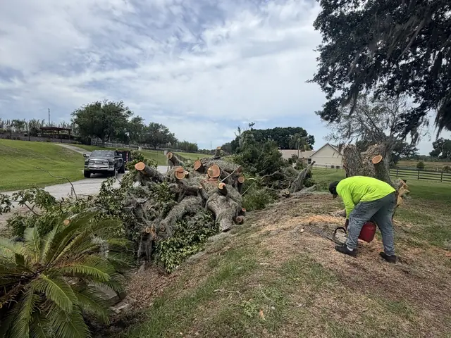 Tree removal in Maitland FL by Kirby's Tree Service