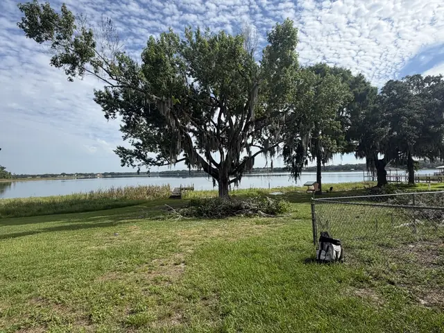 Tree trimming in Altamonte Springs FL by Kirby's Tree Service