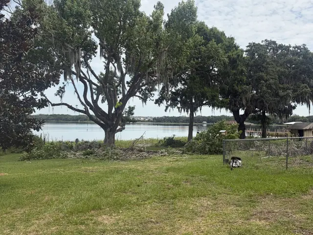 Tree trimming in Zellwood FL by Kirby's Tree Service