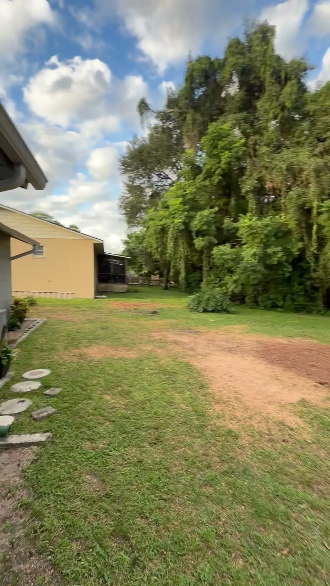 The back yard cleared after the removal, wood stacked and debris hauled out, carports untouched