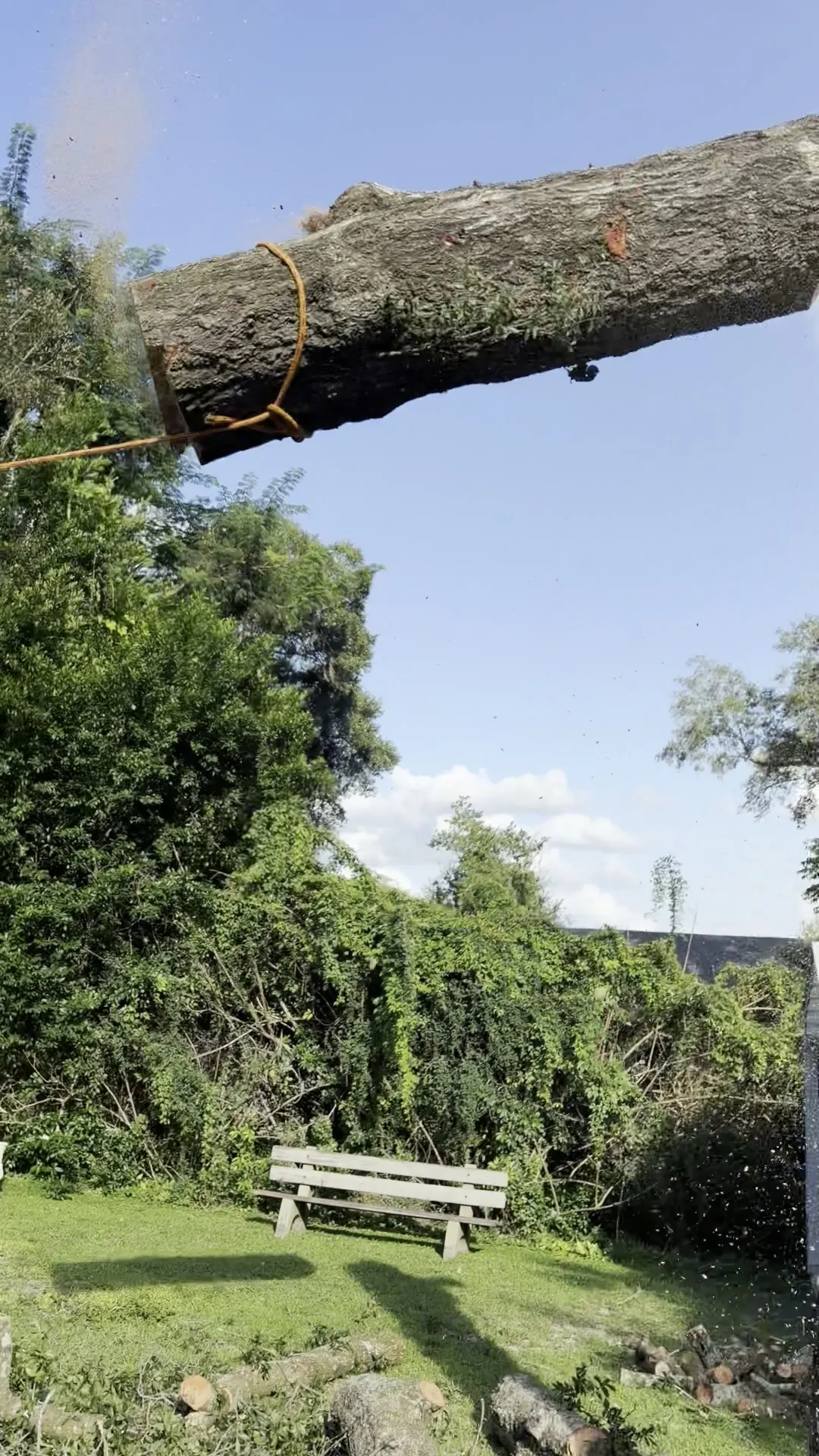 The top section of the trunk in mid-air after the cut, falling clear of the carports into open yard