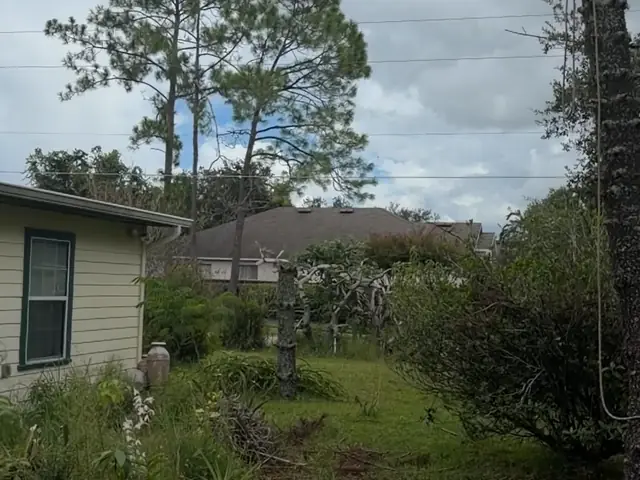 Cut pine trunk section falling with ground crew clear