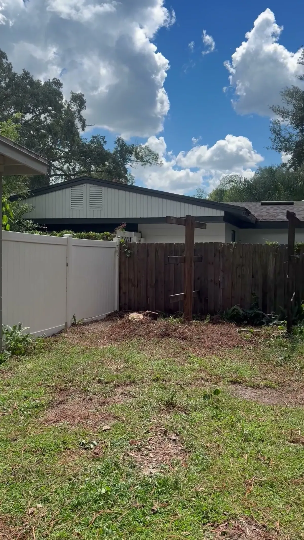 Cleared and raked backyard with both fences and the neighbor's house intact after the removal