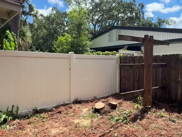 Two flush-cut pine stumps at the fence line with open sky above the cleared backyard