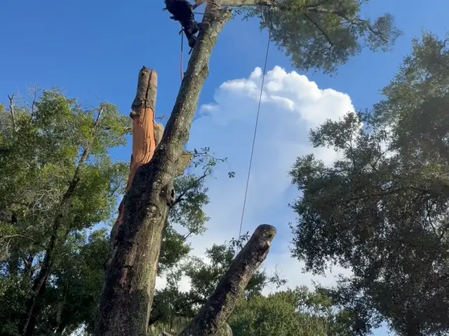 Climber working at the top of the bare spar with the ground crew waiting below