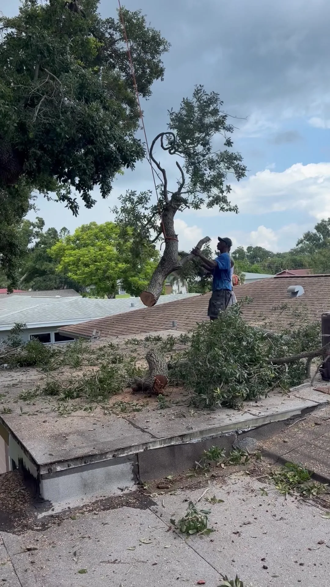 Cut oak limb lowered by rope toward the roof while the crew guides it