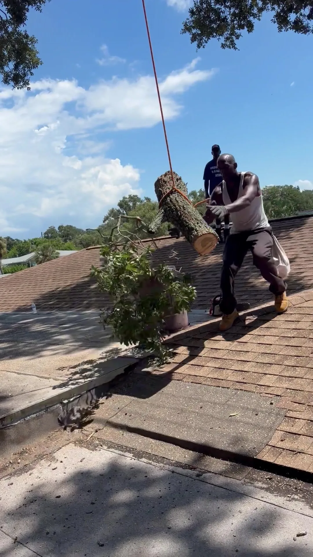 Two crew members catching a rigged oak log as it is lowered onto the roof