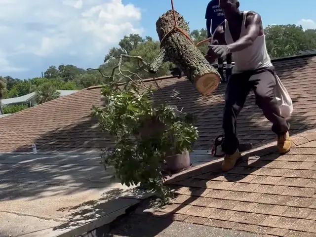 Two crew members catching a rigged oak log as it is lowered onto the roof
